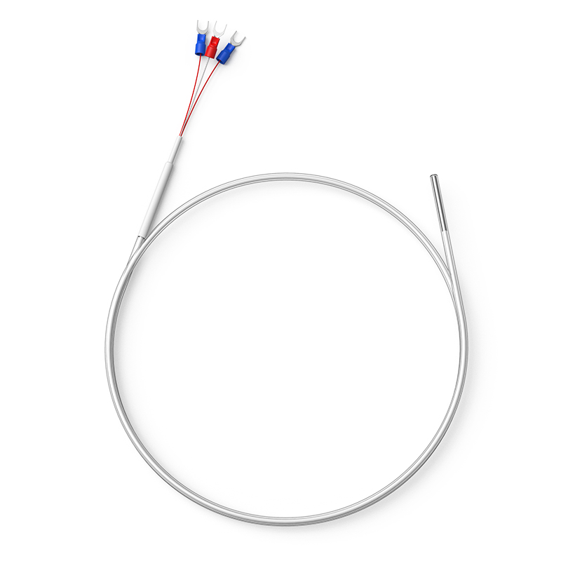 鐵氟龍熱電阻12_http://www.512sc.cn_溫度儀表_第1張