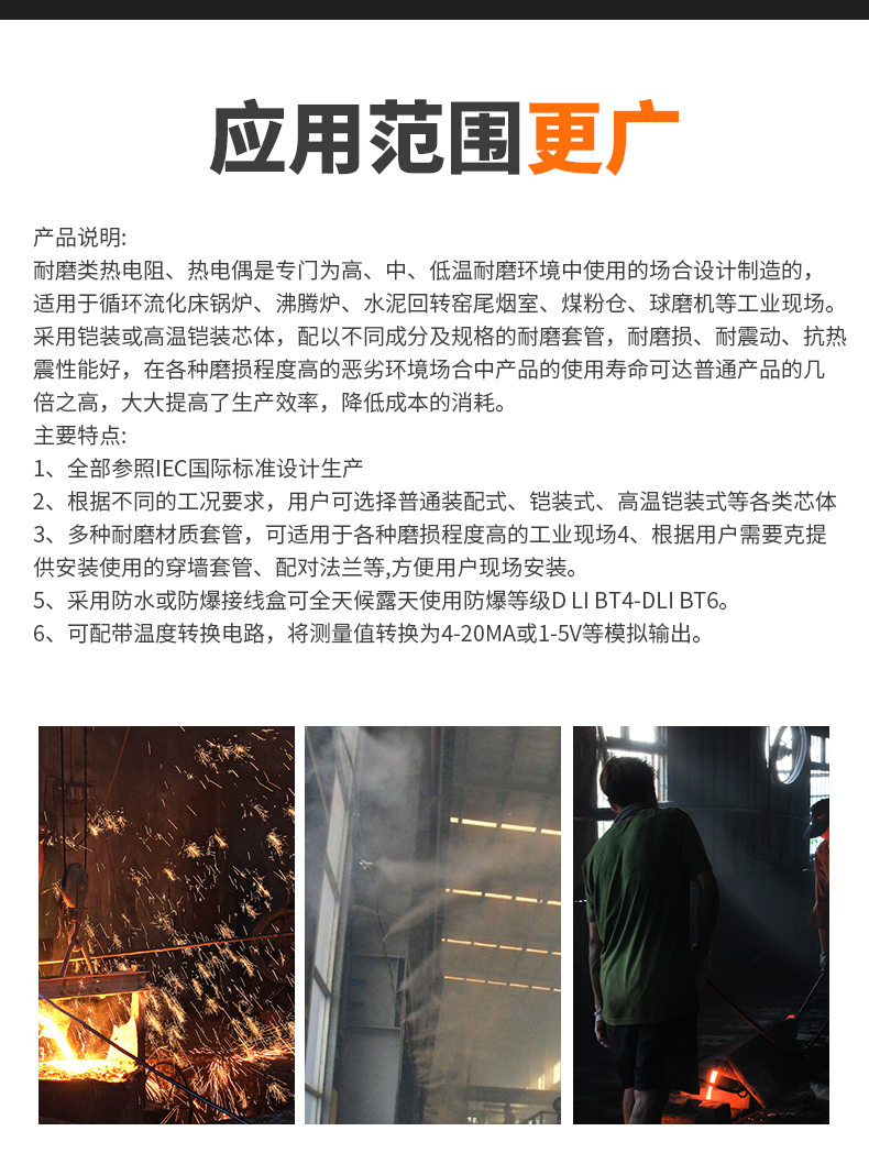 WRNM-131耐磨熱電偶15_http://www.512sc.cn_溫度儀表_第6張